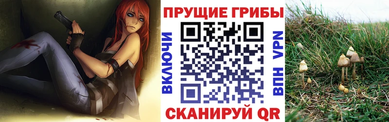 Псилоцибиновые грибы прущие грибы  ОМГ ОМГ   Лакинск 